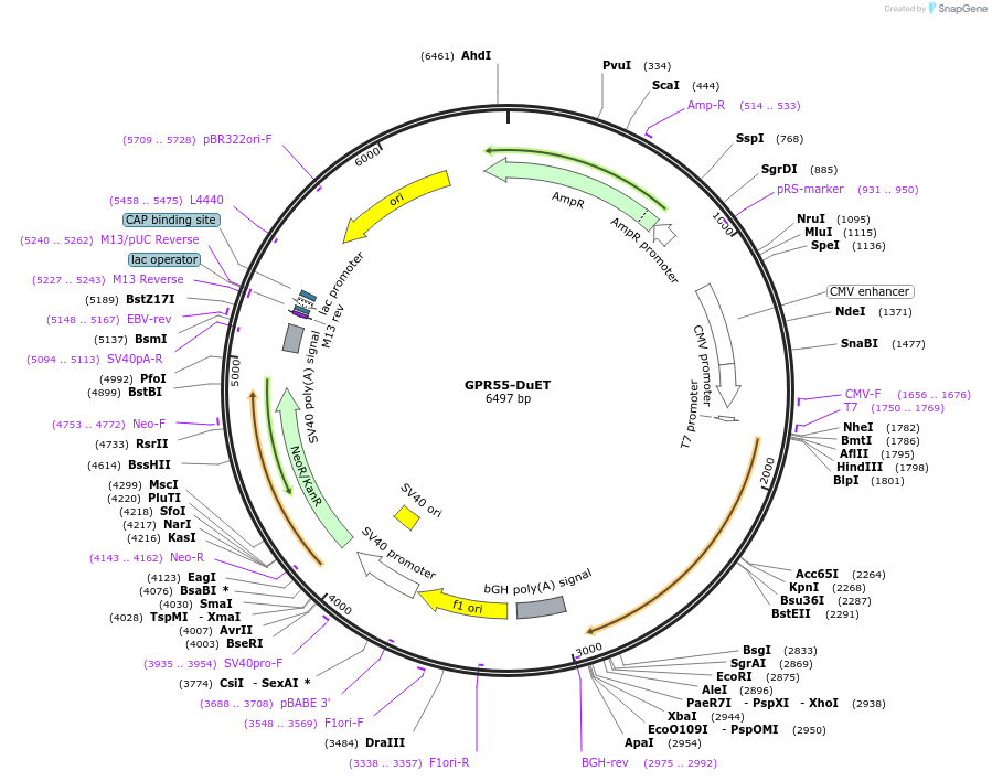 430830_map