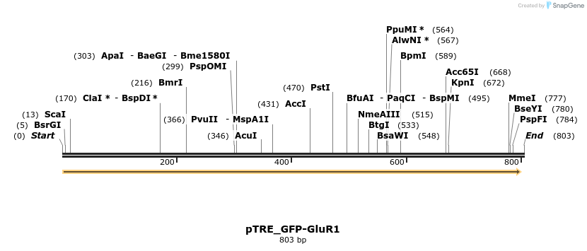 43093_map