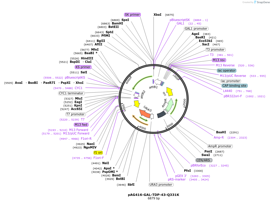 430960_map