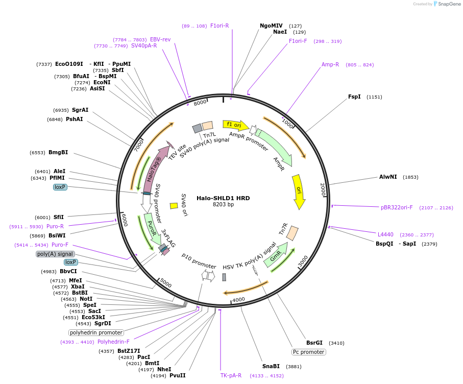 430994_map