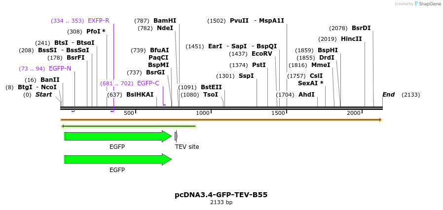 431008_map