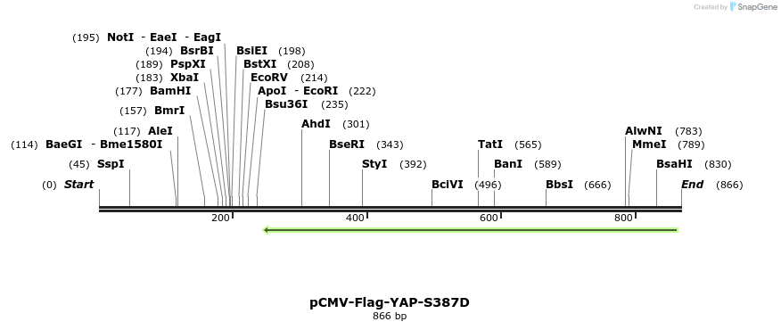 43103_map