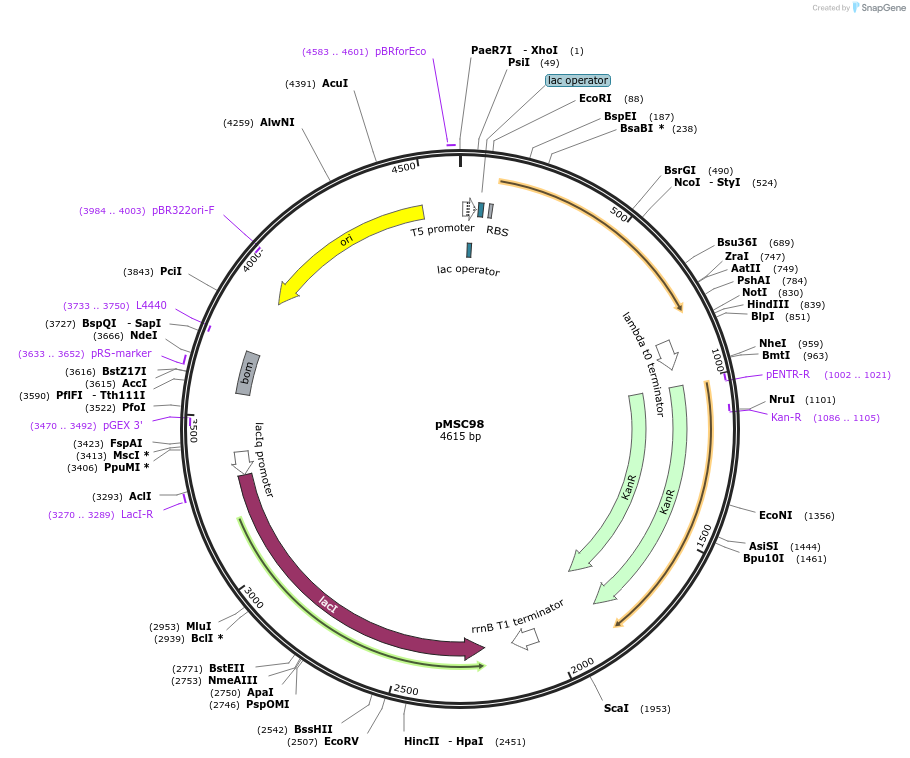 431045_map
