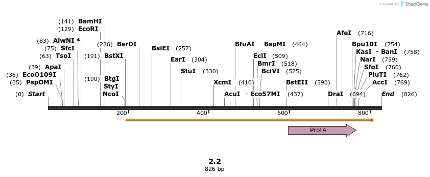 43105_map