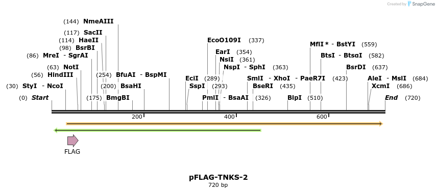 43107_map