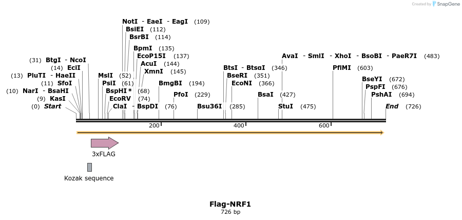 43118_map