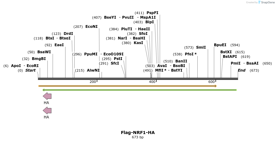 43122_map