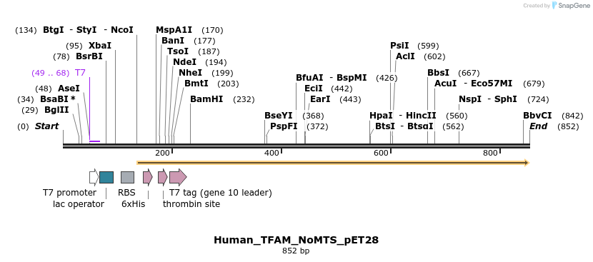 43125_map