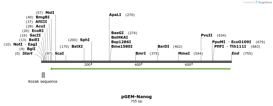 43126_map