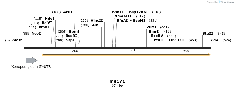 43129_map