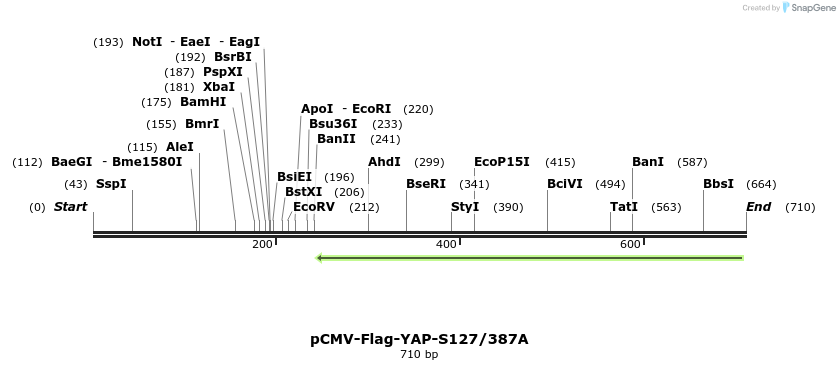 43130_map