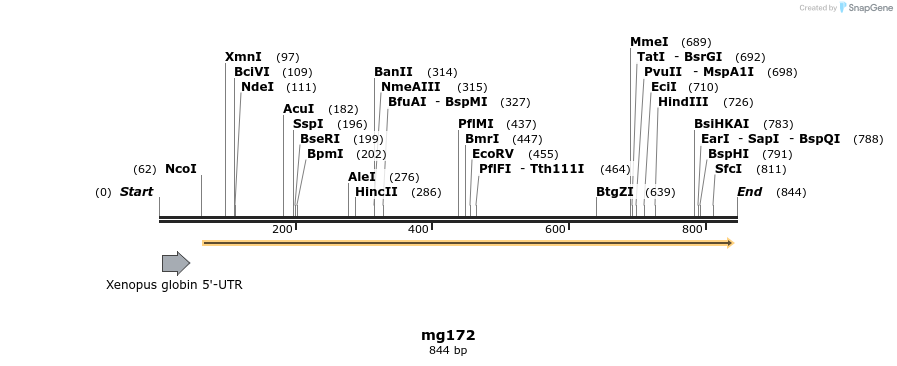 43131_map