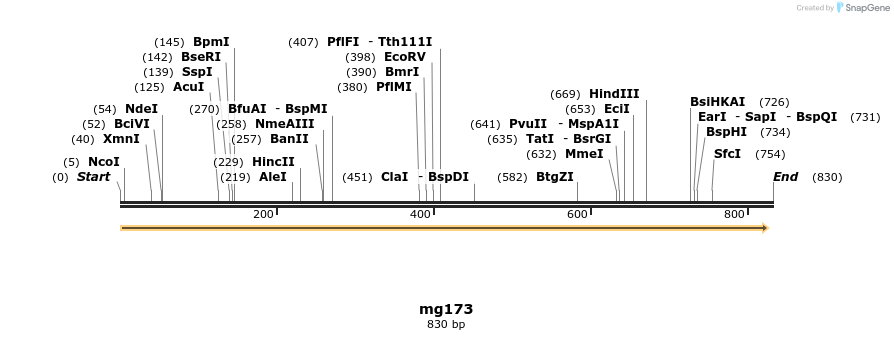 43132_map