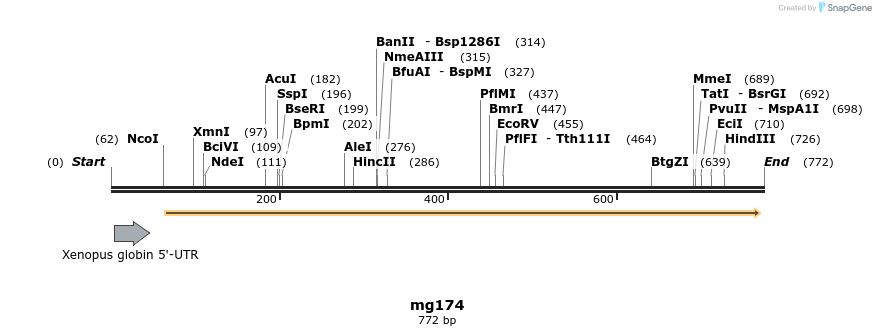 43134_map