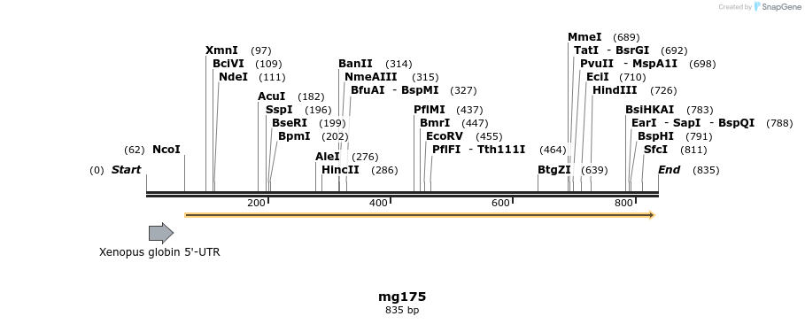 43136_map