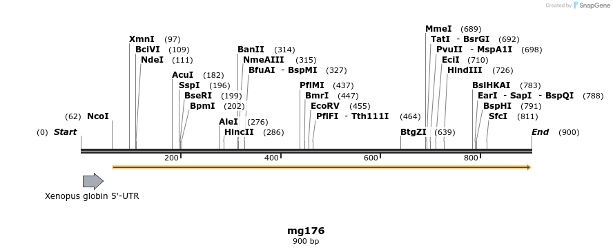 43139_map