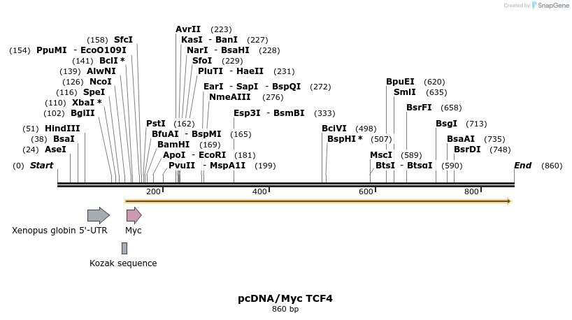 43140_map