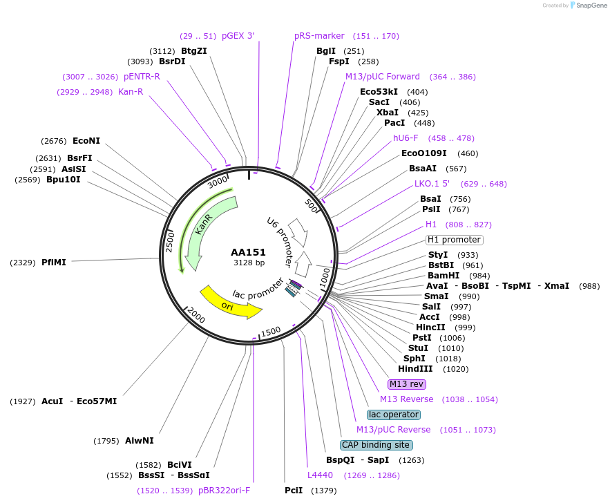 431418_map