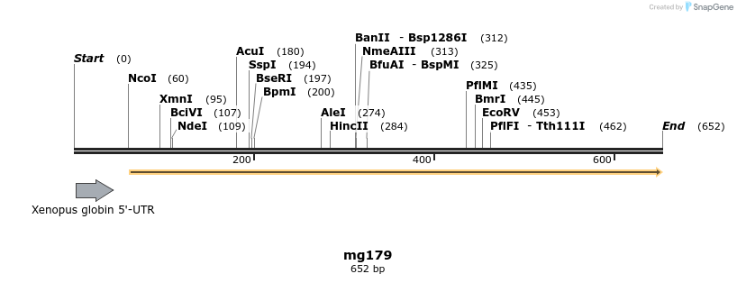 43146_map