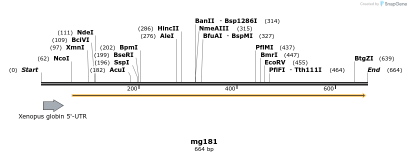 43148_map