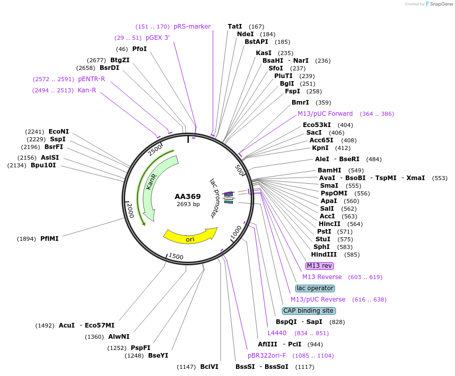 431484_map