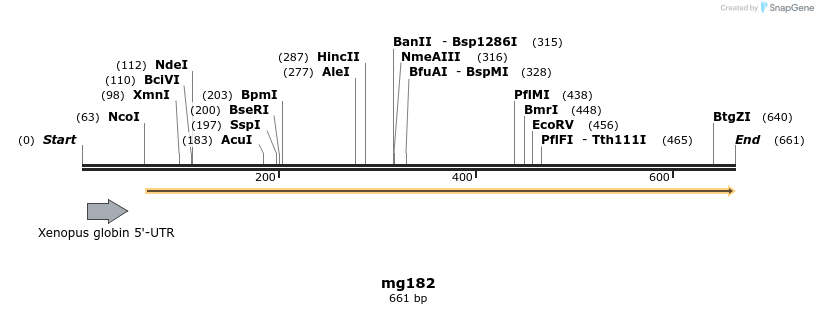 43149_map