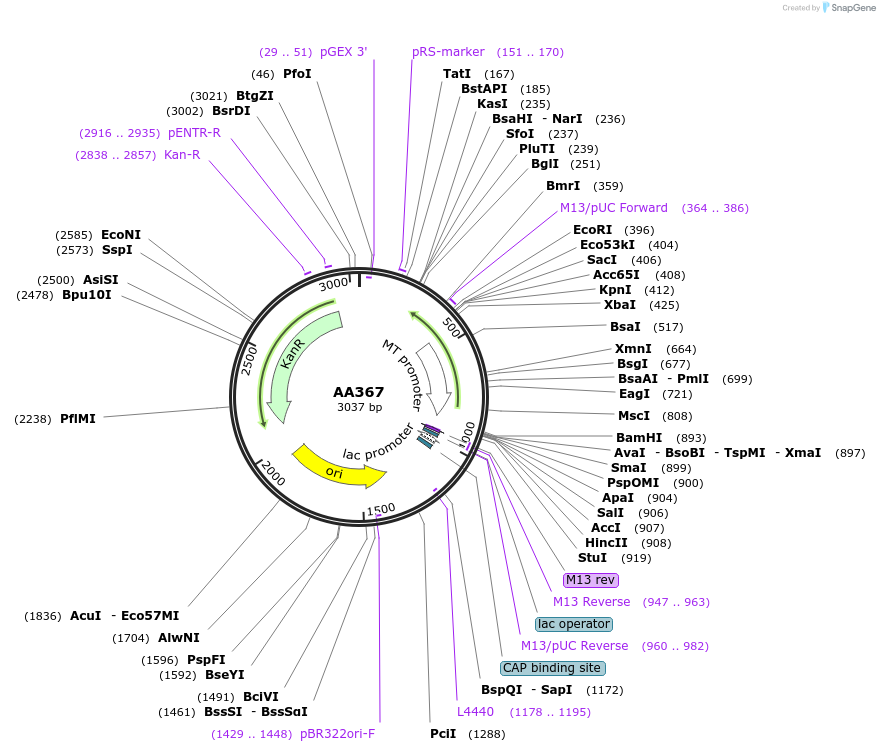431497_map
