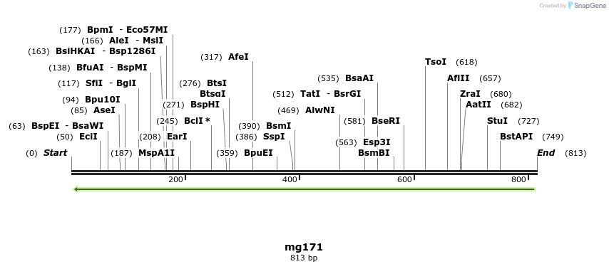 43151_map