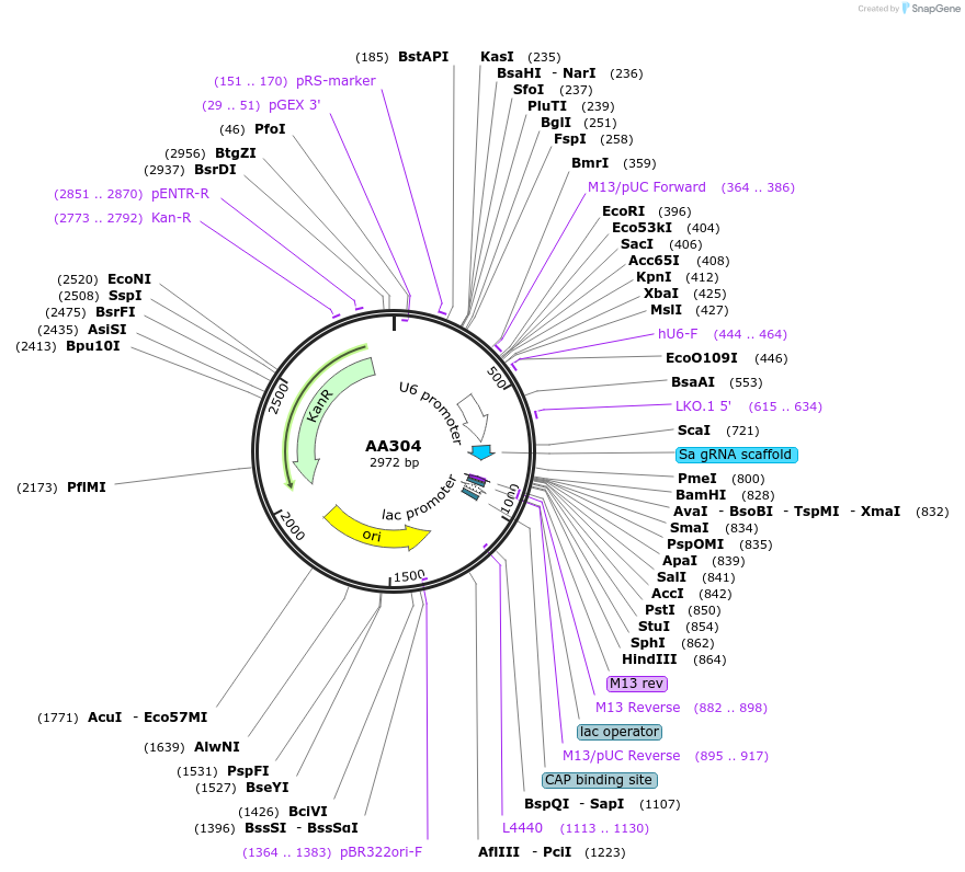 431512_map