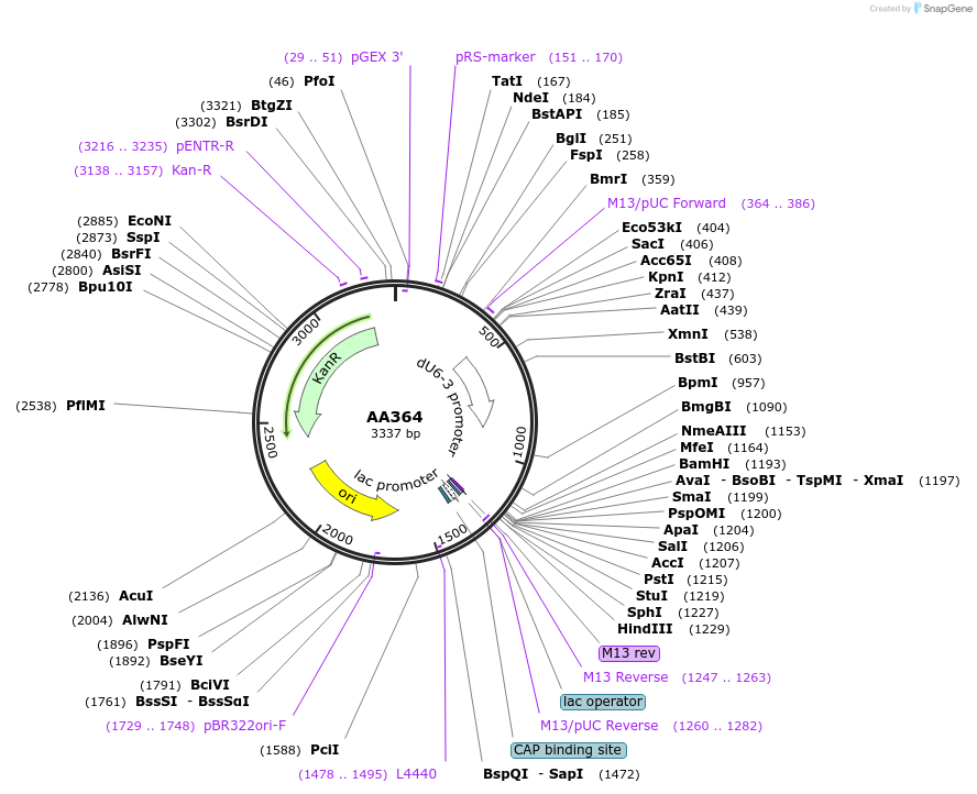 431521_map
