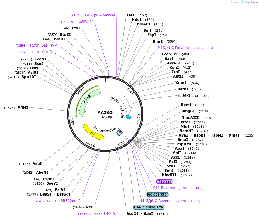 431522_map