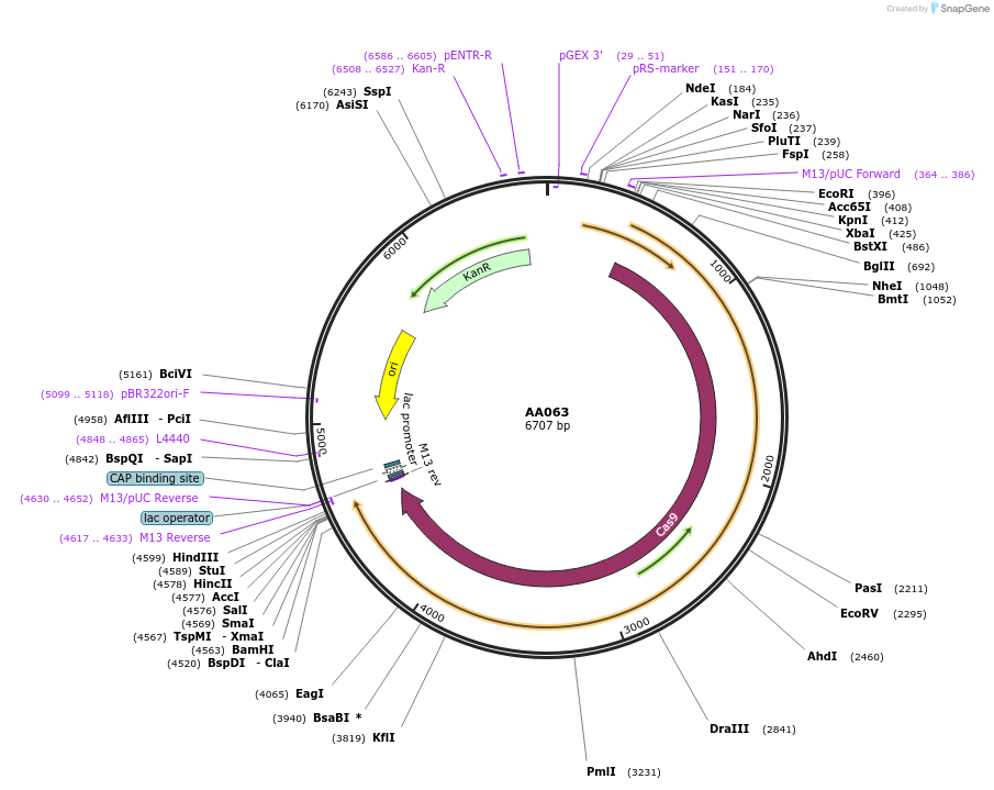 431526_map