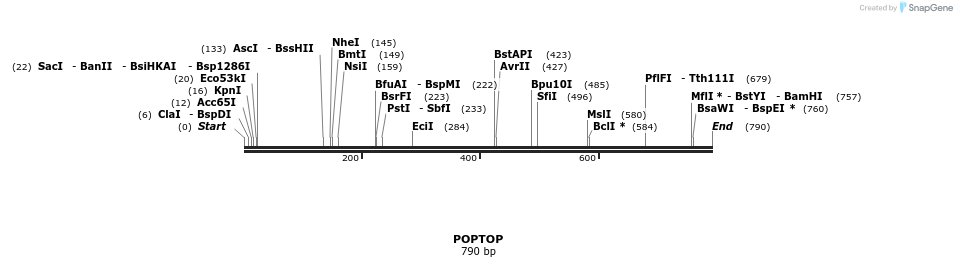 43153_map