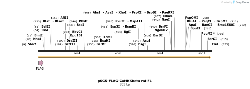 43155_map