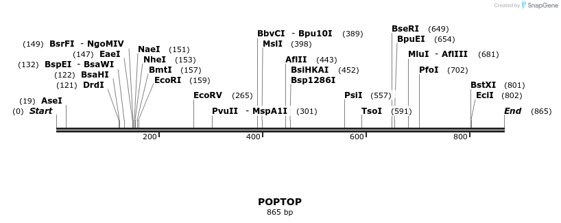 43156_map