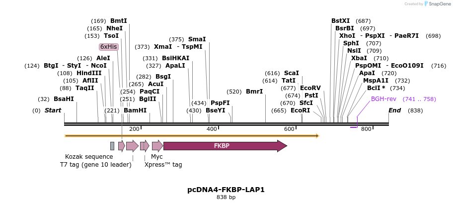 43157_map
