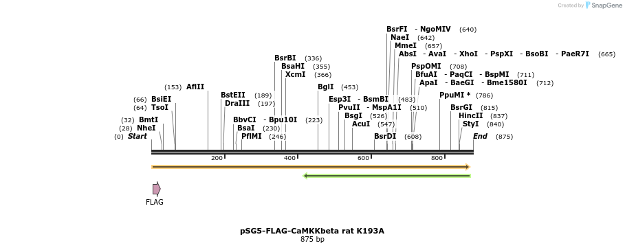 43160_map