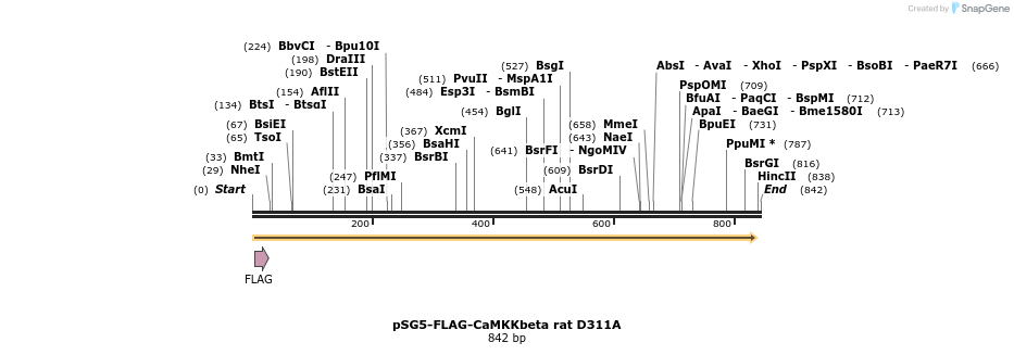 43161_map
