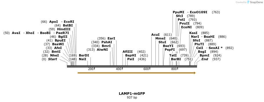 43167_map