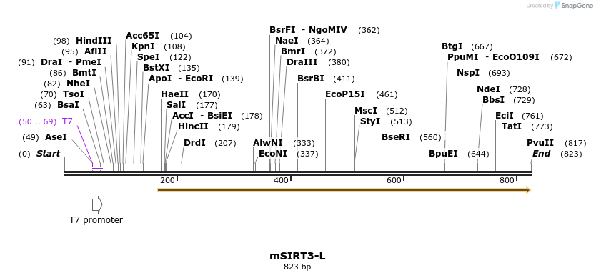 43169_map