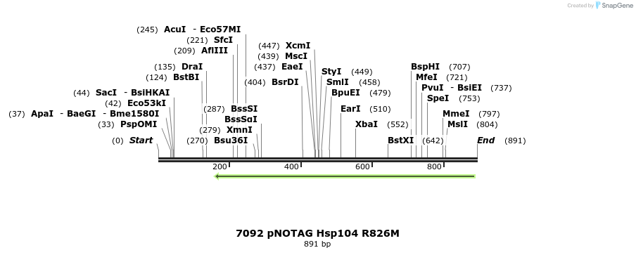 43170_map