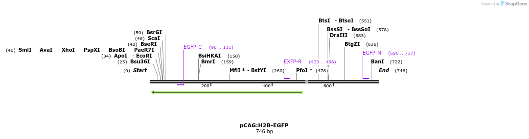 43171_map