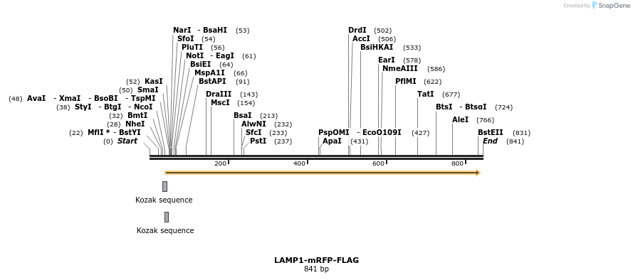 43174_map