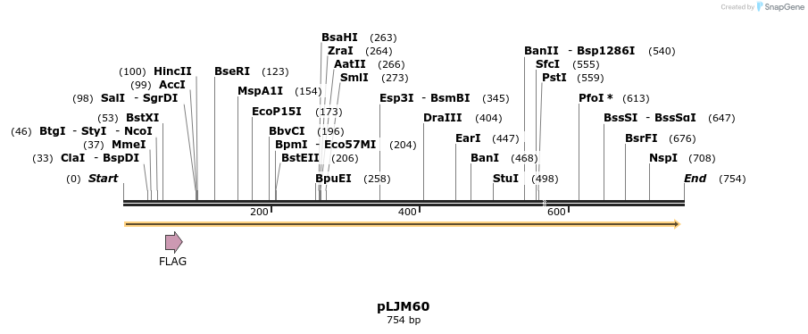 43175_map