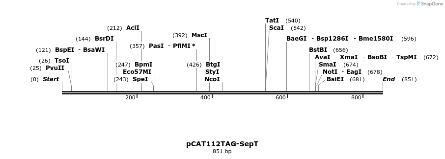 43177_map