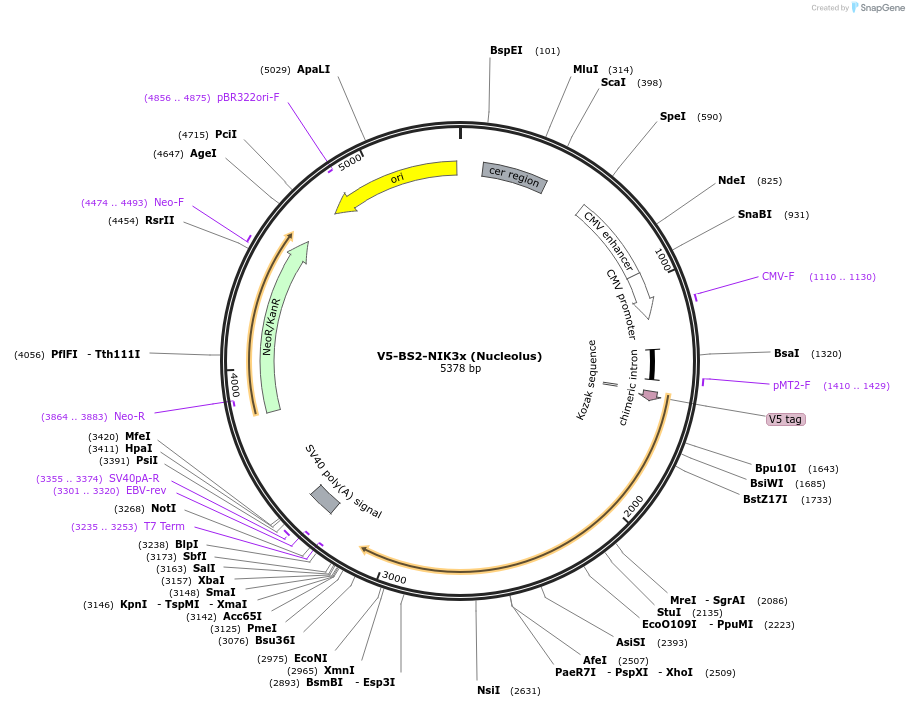 431776_map