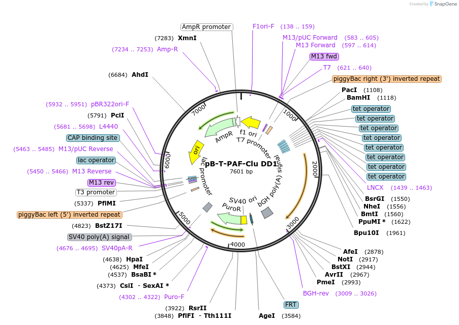431790_map
