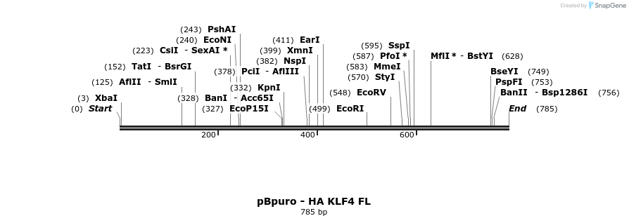 43180_map