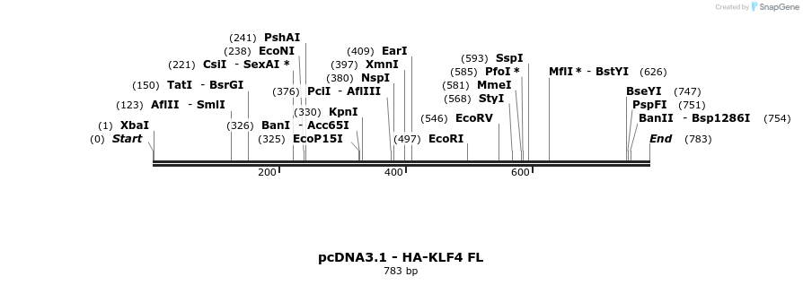 43181_map