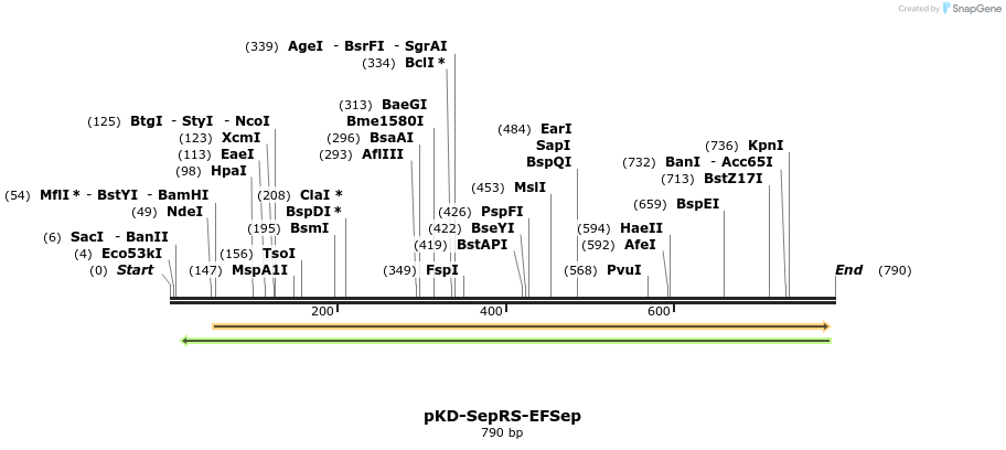 43183_map